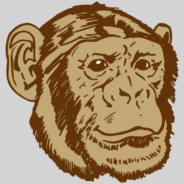 AR OTHER 47 RC Thumbnail