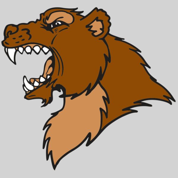 AR BEAR 22 RC Thumbnail