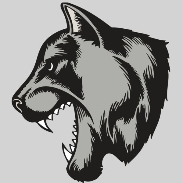 BAW COUG PANTH 06 RC Thumbnail