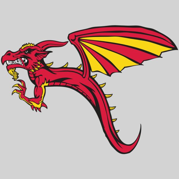 BAW DRAGON 02 RC Thumbnail