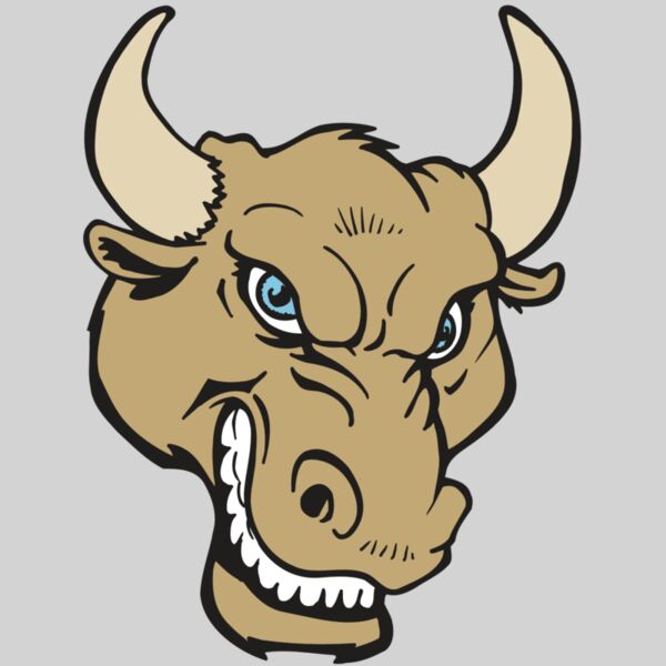 AR5 BULL 13 RQC Thumbnail