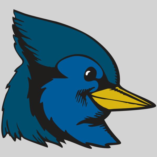 BAW BLUEJAY 07 RC Thumbnail