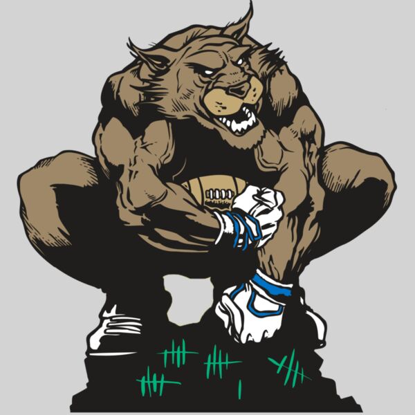 AR WILDCAT 34 RC Thumbnail