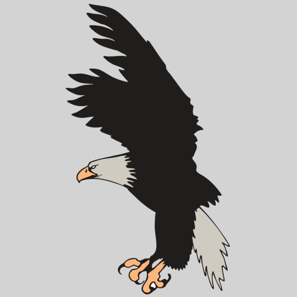 AR EAGLE 91 RC Thumbnail