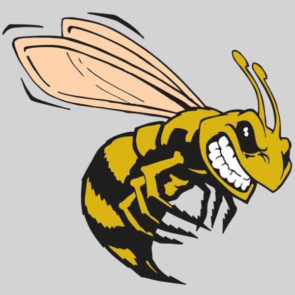 AR BEE 50 RC Thumbnail