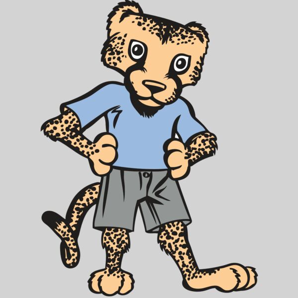 BAW CHEETAH 03 RC Thumbnail