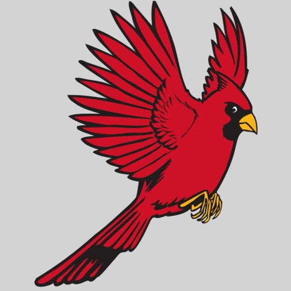 BAW CARDINAL 19 RC Thumbnail