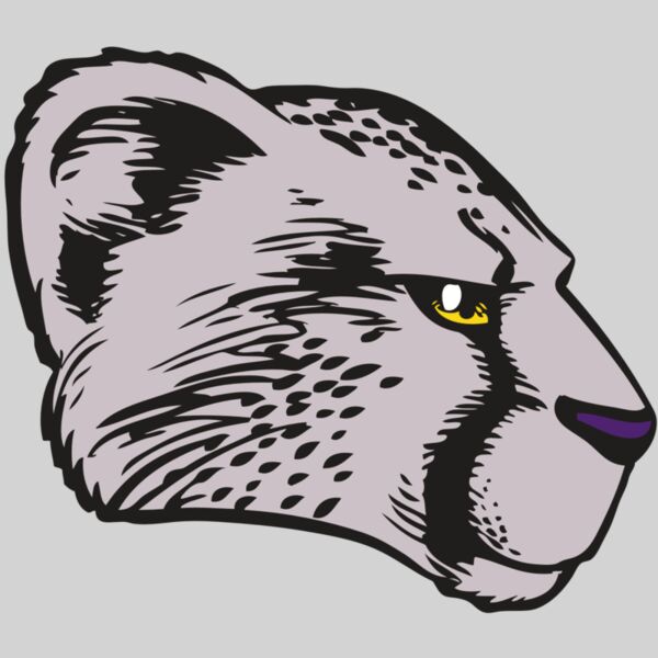 BAW CHEETAH 20 RC Thumbnail