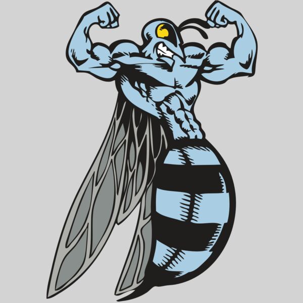 BAW BEE 08 RC Thumbnail