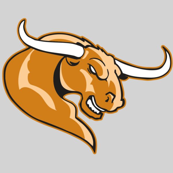 AR BULL 14 RC Thumbnail