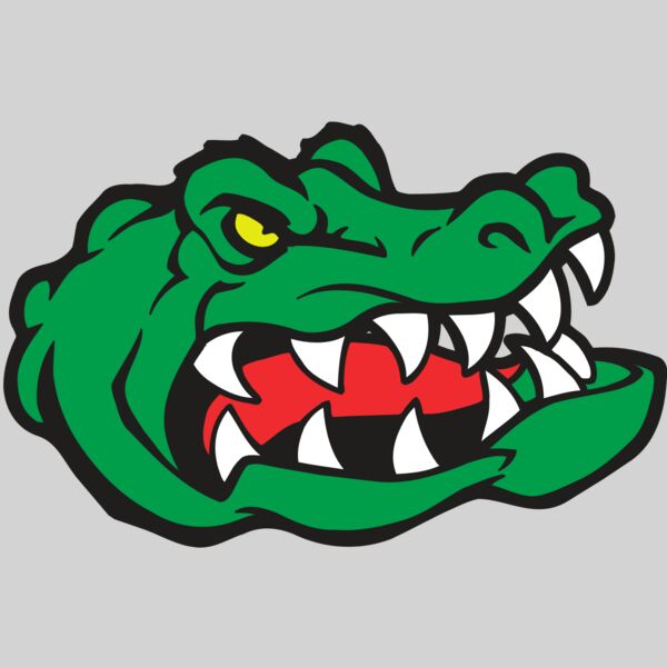 AR GATOR 19 RQC Thumbnail