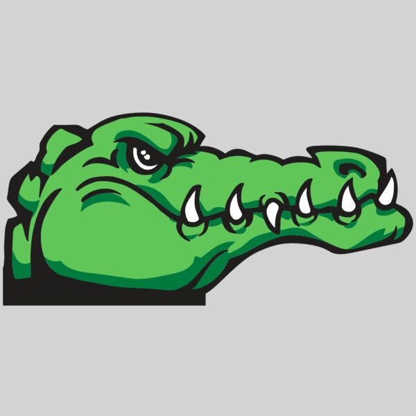 AR GATOR 15 RQC Thumbnail