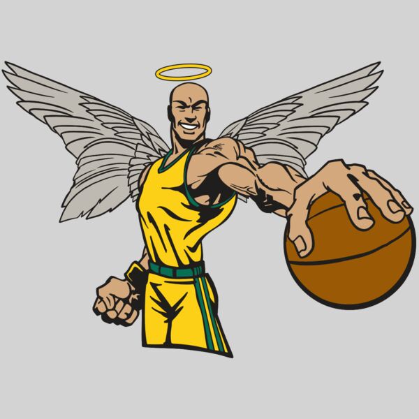 AR17 ANGEL BSKT 06 RQC Thumbnail