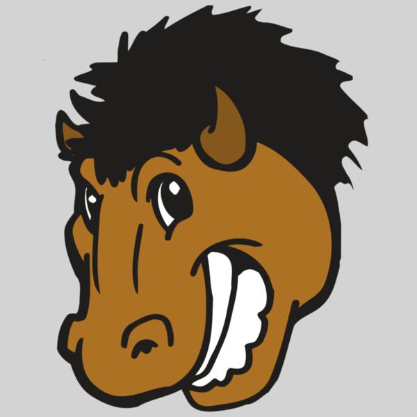 AR BUFFALO 17 RC Thumbnail