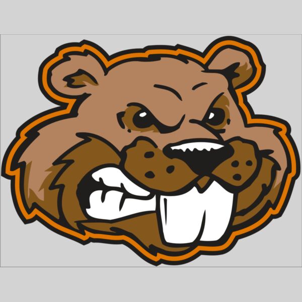 AR BEAVER 11 RC Thumbnail