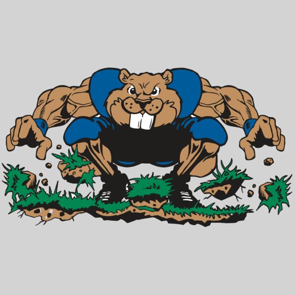 AR14 BEAVER FBLL 04 RQC Thumbnail