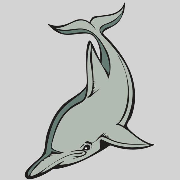 BAW DOLPHIN 01 RC Thumbnail