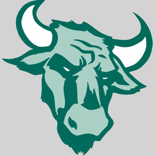 AR BULL 37 RC Thumbnail