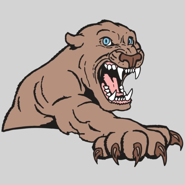 AR5 COUGAR 20 RQC Thumbnail