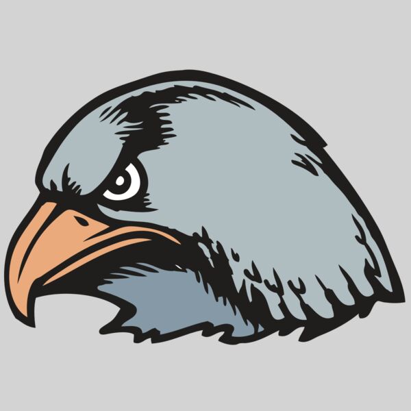 BAW HWK FLCN 03 RC Thumbnail