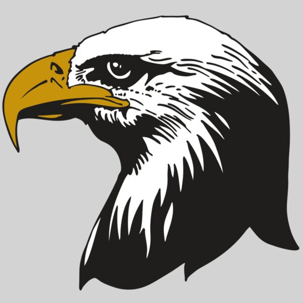 AR EAGLE 87 RC Thumbnail