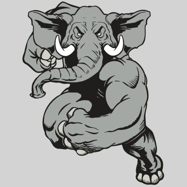 AR ELEPH 18 RC Thumbnail