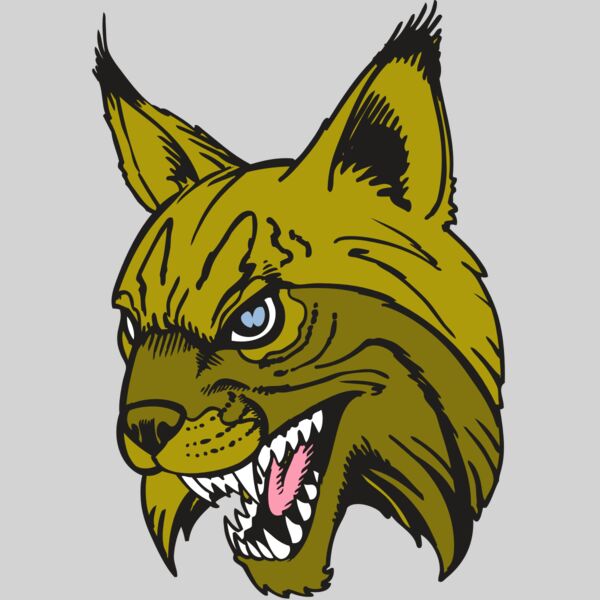 BAW BOBCAT 05 RC Thumbnail