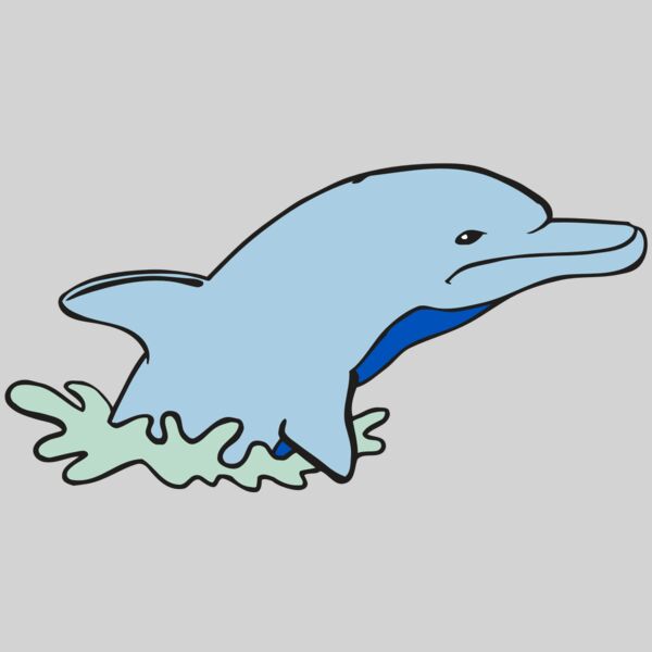 AR DOLPIN 14 RC Thumbnail