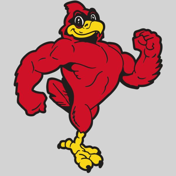 AR CARDINAL 41 RC Thumbnail