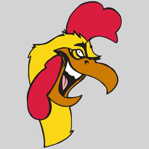 AR5 Gamecock 08 RQC Thumbnail