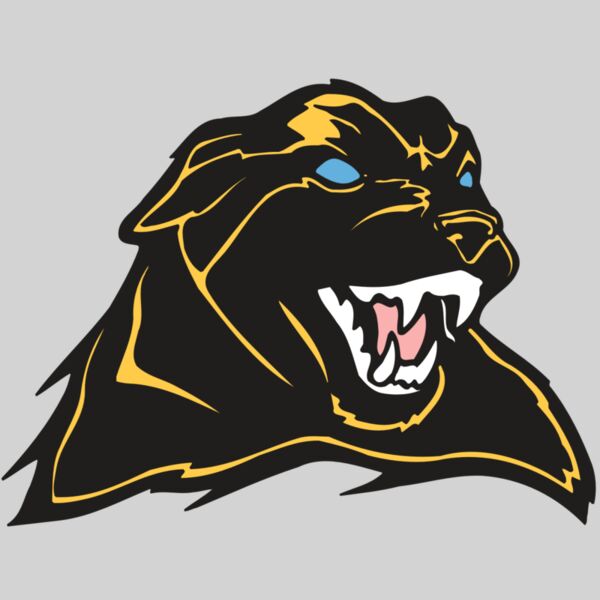 AR COUGAR 42 RC Thumbnail