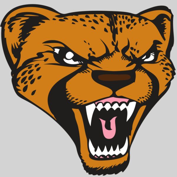 BAW CHEETAH 12 RC Thumbnail