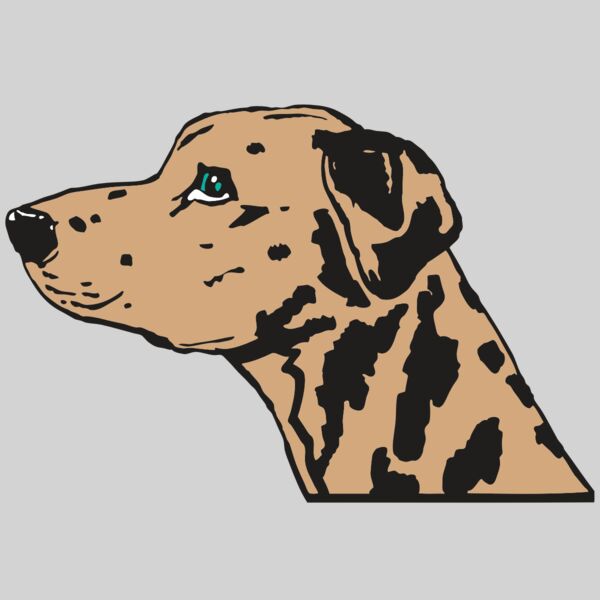 AR2 OTHER 03 RQC Thumbnail