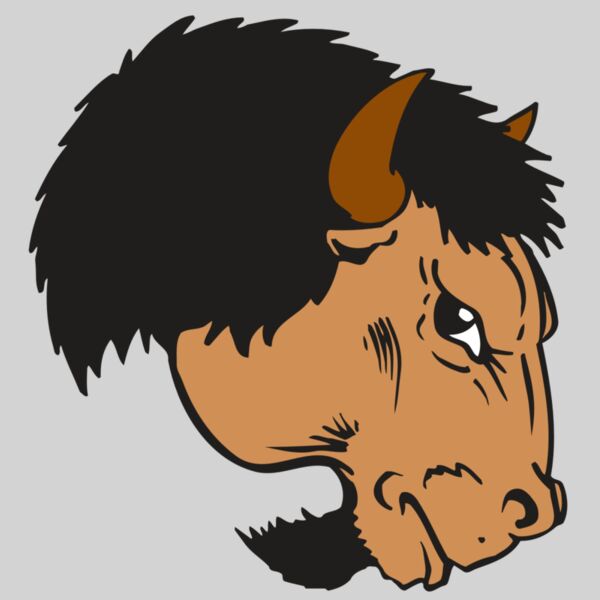 AR BUFFALO 16 RC Thumbnail