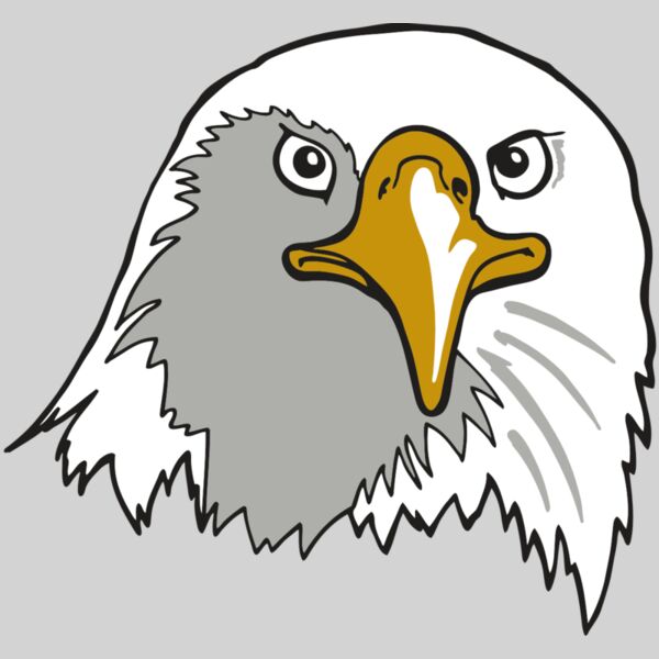 AR EAGLE 39 RC Thumbnail