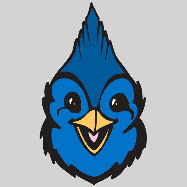 BAW BLUEJAY 19 RC Thumbnail