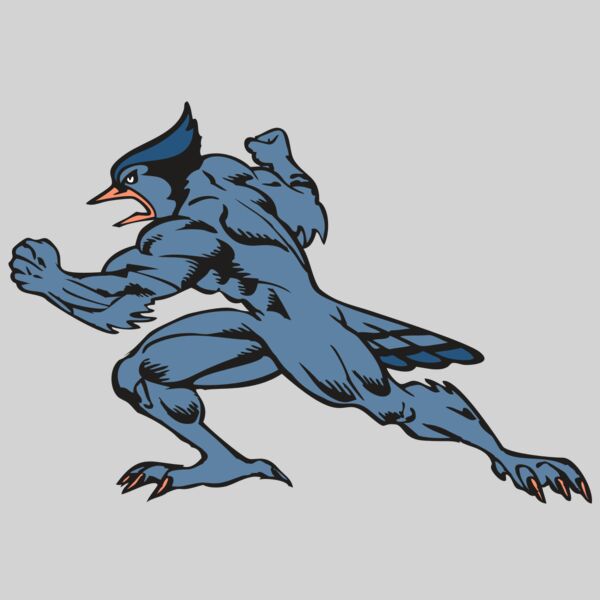 BAW BLUEJAY 15 RC Thumbnail