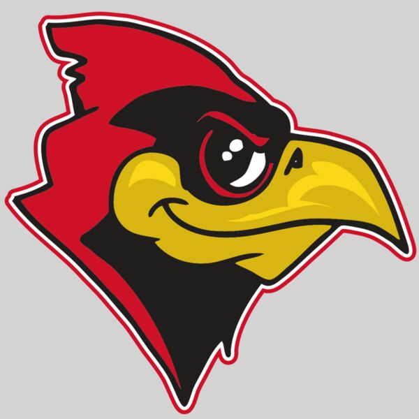 AR CARDINAL 38 RC Thumbnail