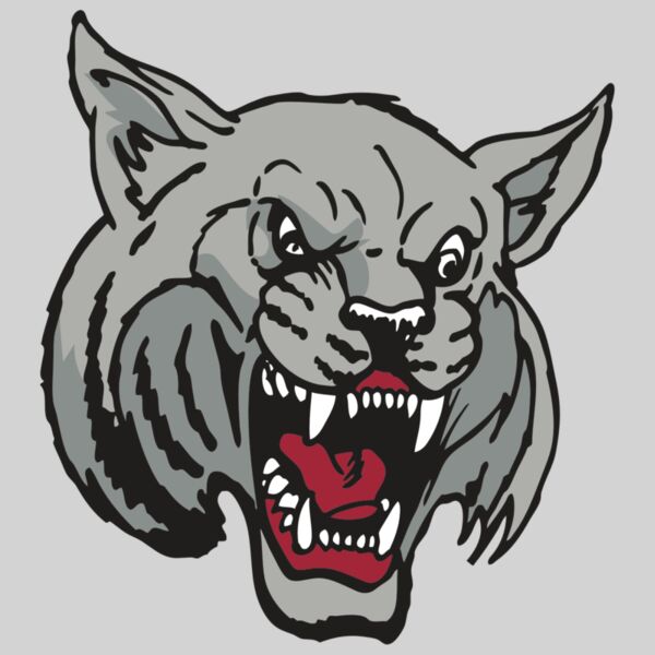 AR WILDCAT 42 RC Thumbnail