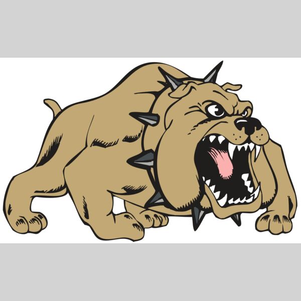 BAW BULLDOG 01 RC Thumbnail