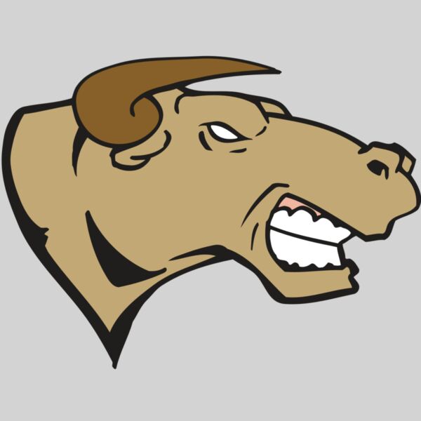 AR BULL 30 RC Thumbnail