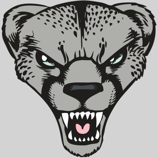 BAW CHEETAH 15 RC Thumbnail