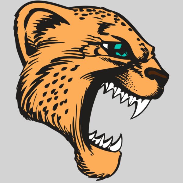 BAW CHEETAH 11 RC Thumbnail