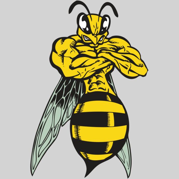 BAW BEE 16 RC Thumbnail