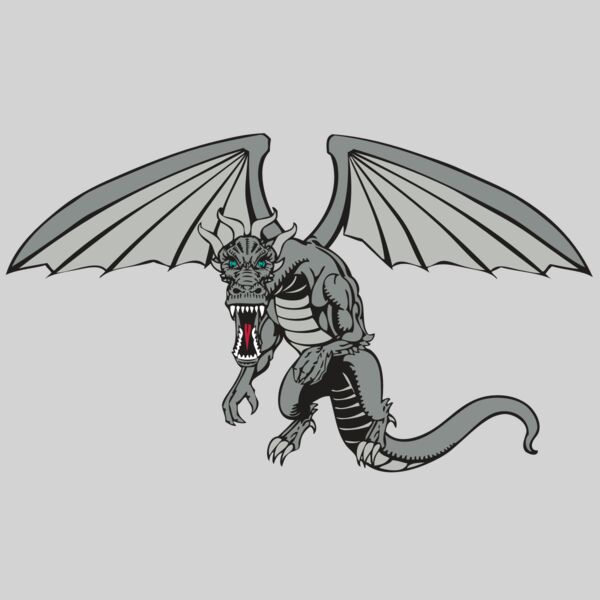 BAW DRAGON 04 RC Thumbnail