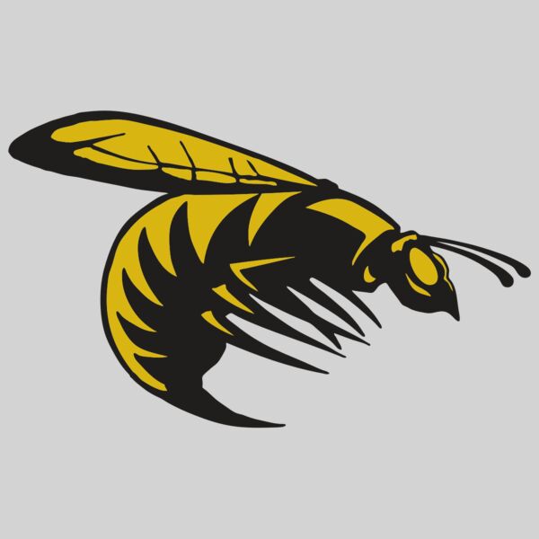 AR BEE 49 RC Thumbnail