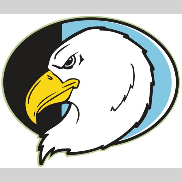 AR EAGLE 55 RC Thumbnail