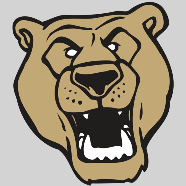 AR BEAR 13 RC Thumbnail