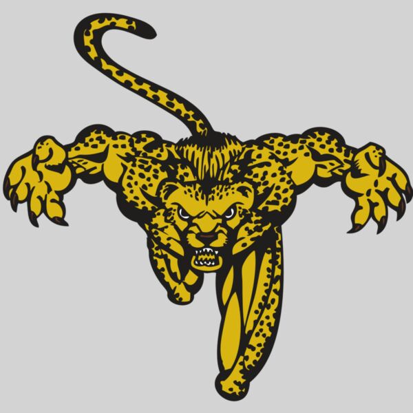 BAW CHEETAH 08 RC Thumbnail