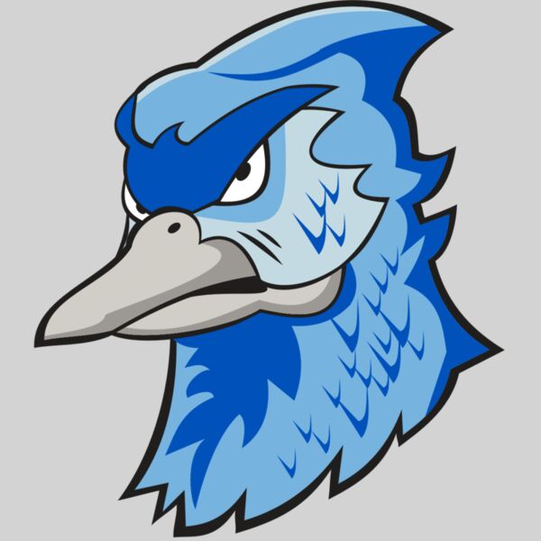 BLUEJAY HD0501 RQC Thumbnail